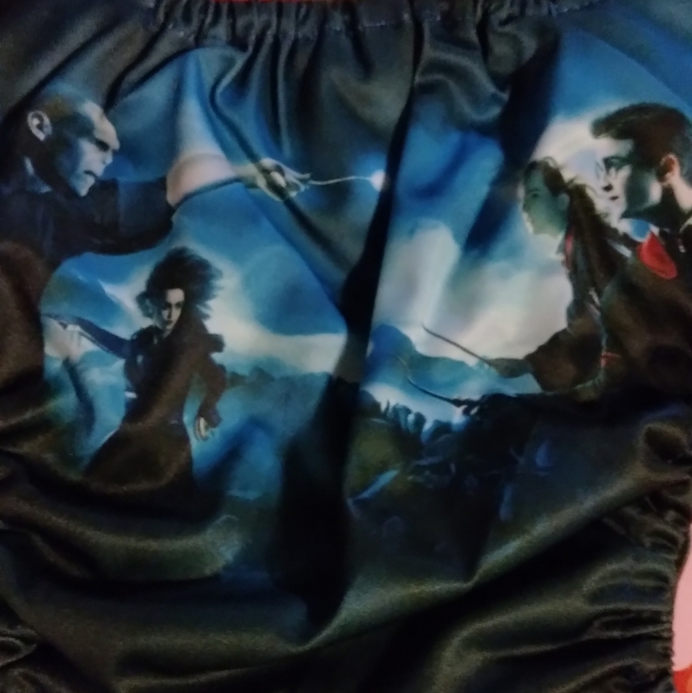 Harry Potter cloth diaper
